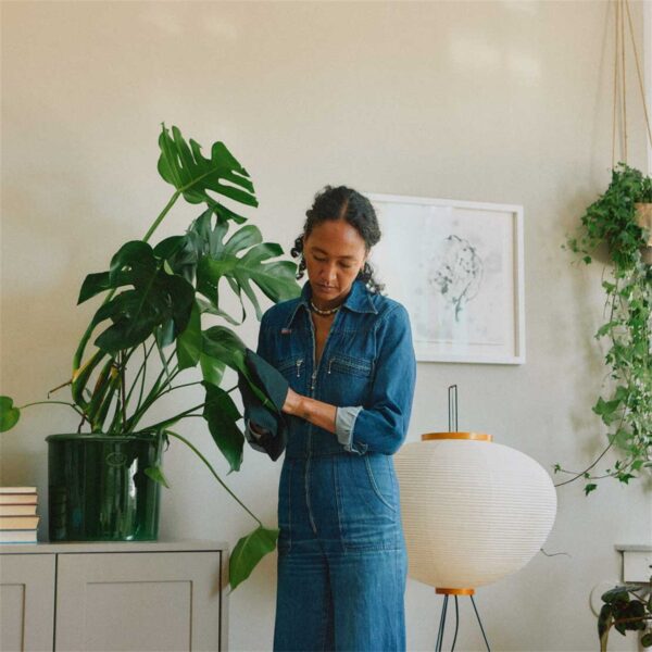 Tolmulapp Fiskars Plant Care