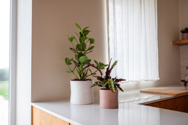 Lillepott Diana Ø11cm pruunikashall