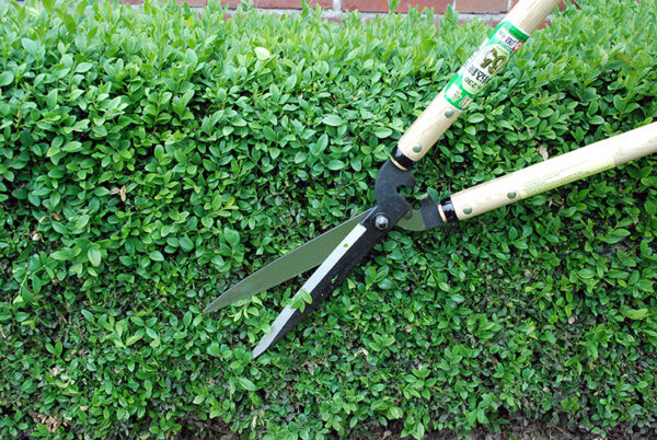 Hekikäärid Okatsune 230 78cm