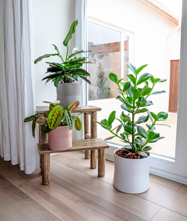 Lillepott Diana Ø11cm pruunikashall