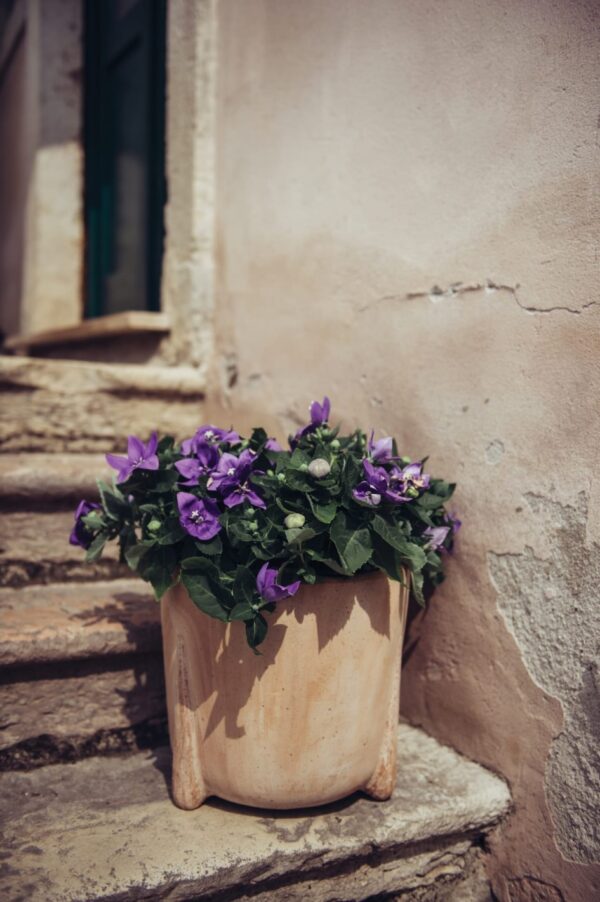 Savipott Amalfi Ø30x h30cm pruun