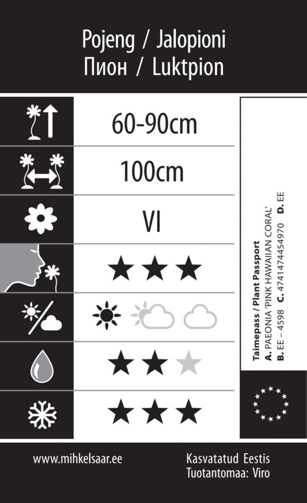 Pojeng 'Pink Hawaiian Coral' P19 Eestis kasvatatud