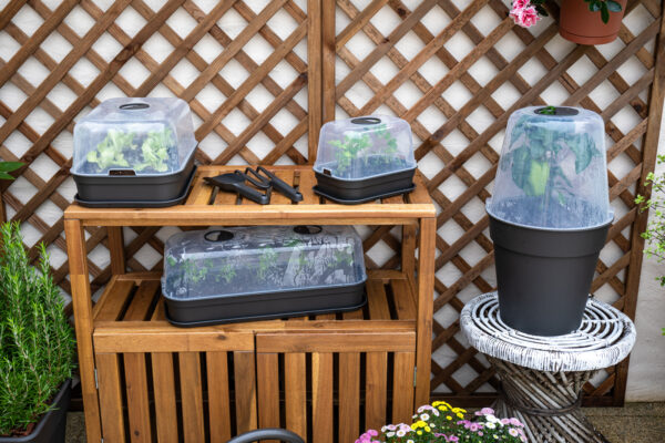 Istutuspott Madagascar To Grow Ø40cm terrakota