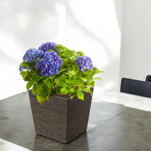 Õuepott Furu low Eco 29,5x29,5x h29cm pruun