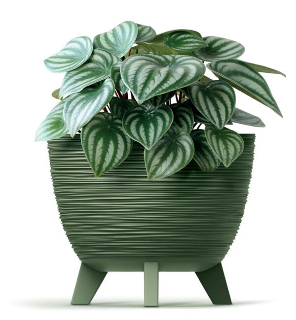 Lillepott Furu jalgadel Ø39,5x h32cm roheline