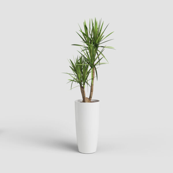 Lillepott Santorini Ø33x h65cm valge