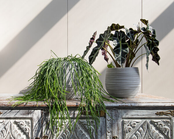 Lillepott Doris Ø16cm hall