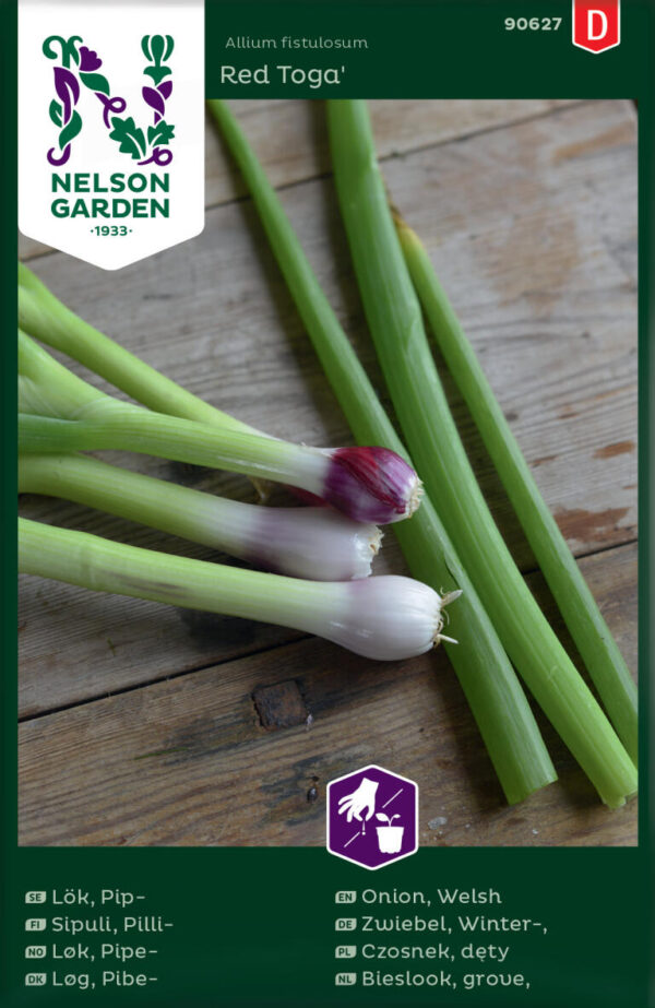 Talisibul 'Red Toga'