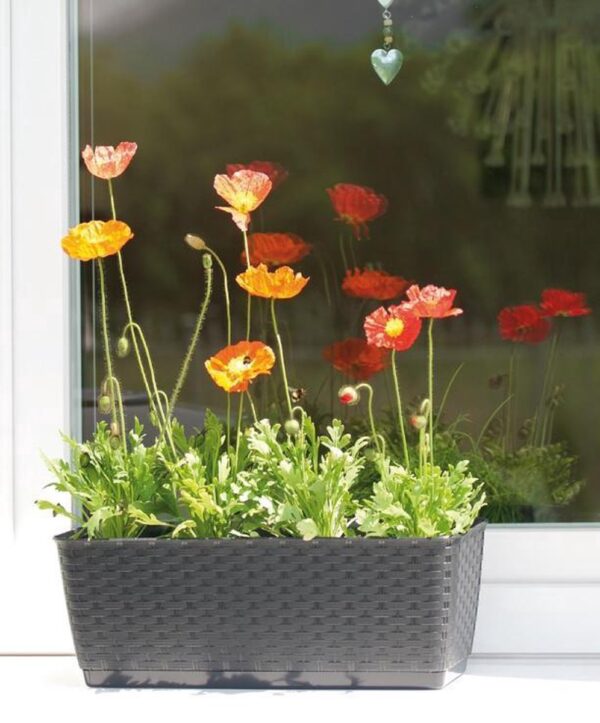 Rõdukast Ratolla 38,6x15,4x h14,2cm antratsiit