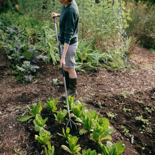 Fiskars kobesti Ergonomic