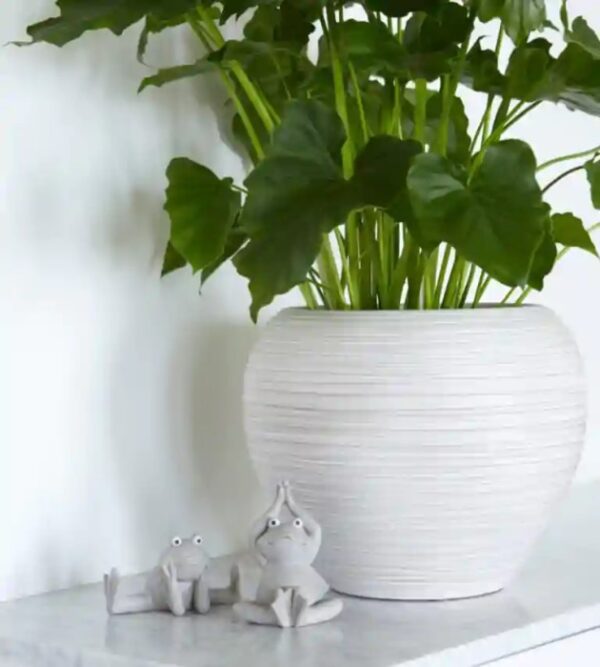 Lillepott Cintia Ø28x h25cm hall