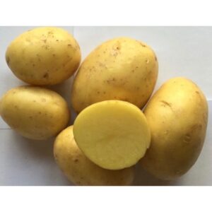 Seemnekartul ‘Mia’ 5kg