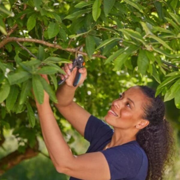 Oksakäärid Garden PremiumCut Fresh Wood