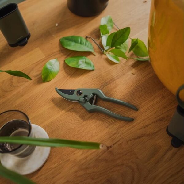 Fiskars oksakäärid Plant Care hoidikuga