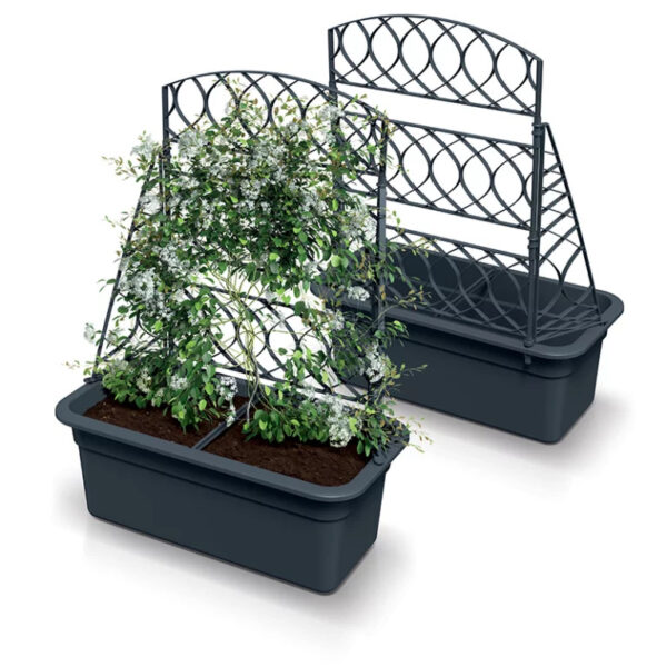 Lillekast ronitaimedele Bloma 58x28,8x h22,5cm antratsiit