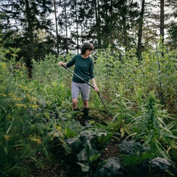 Fiskars peenrareha Ergonomic