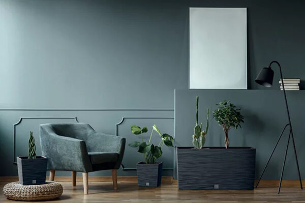 Lillekast Furu M 77x 23,5x h41cm antratsiit