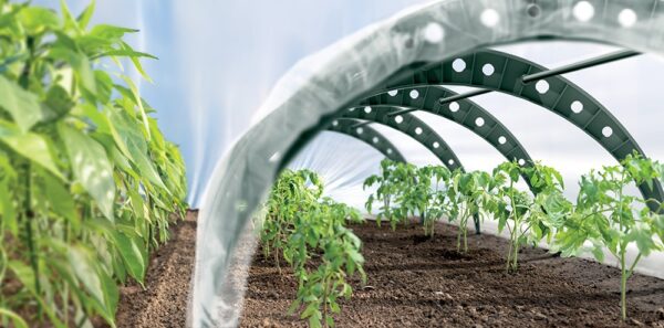 Kasvutunneli komplekt Floo 2400mm