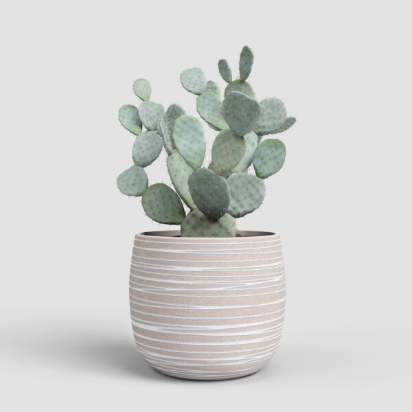 Lillepott Doris Ø33cm kreemikas