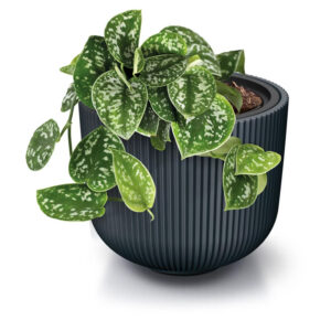 Lillepott Milly Ø23,9x h19,7cm valge