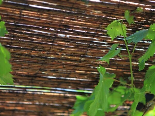 Pilliroomatt Nature 1,5x3m