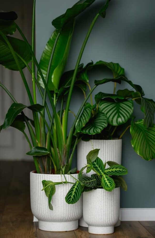 Lillepott Mood Ø29x h30cm valge