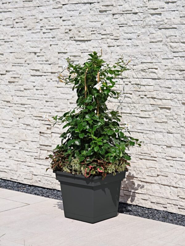 Lillepott Still alusega 47x43,5cm antratsiit