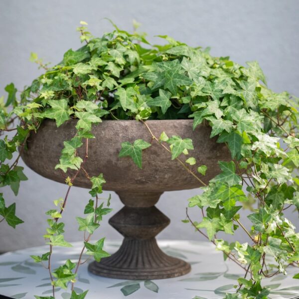 Lillepott Daga 30x23cm rooste