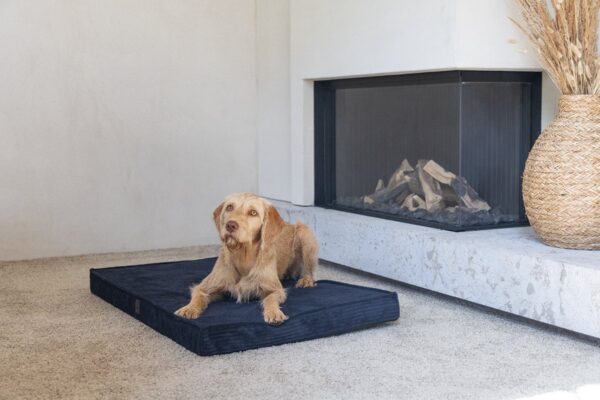 Pesa Lotte ortopeediline hall 108x69cm