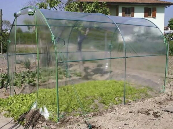 Kasvutunnel Premium 200x300x h180cm