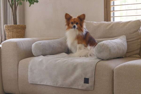 Pesa Lotte diivanile helehall 70x50cm