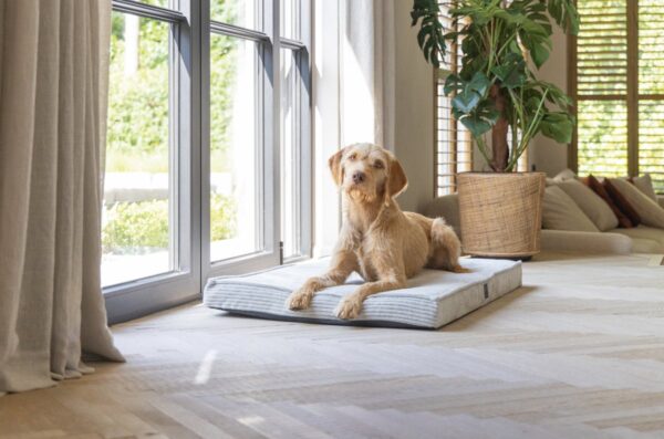 Pesa Lotte ortopeediline helehall 108x69cm