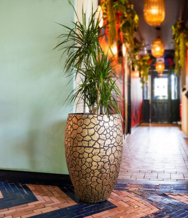 Lillepott Clay NL deluxe Ø50x h72cm kuldne