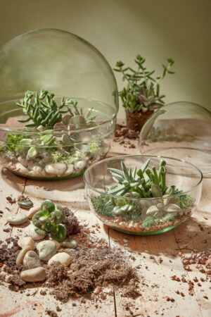 Terraarium Telise Ø19,5x h19,5cm läbipaistev