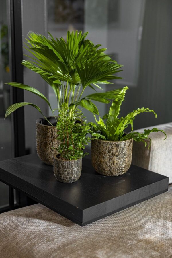 Lillepott Skin Ø17x h15cm kuldne