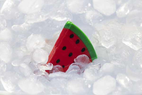 Mänguasi koerale jahutav, erinevad 1tk