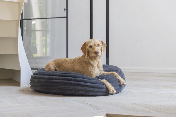 Pesa Reza hall 95x h20cm