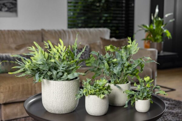 Lillepott Skin Ø24x h21cm beež