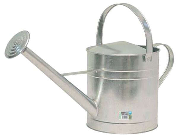 Kastekann tsingist 5L