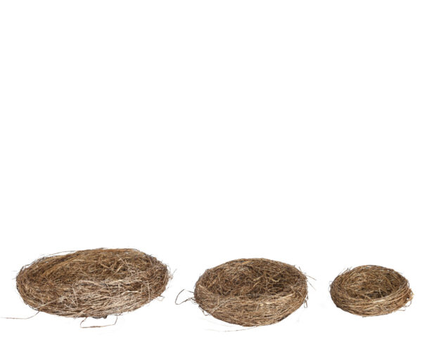 Linnupesa erinevad suurused pruun 3tk/pakis