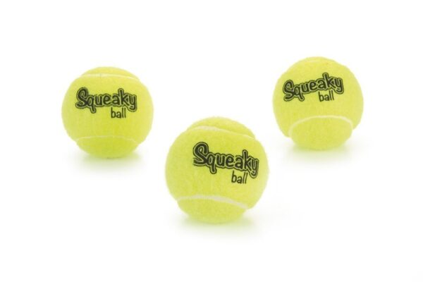 Mänguasi koerale tennisepall piksuga 3tk 6,5cm