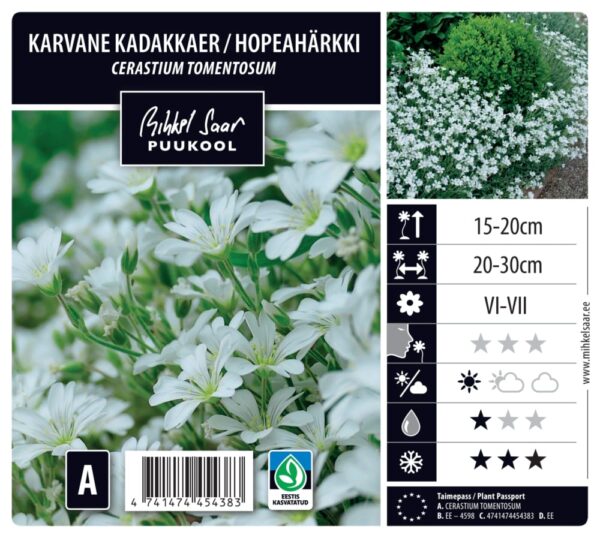 Karvane kadakkaer P12 Eestis kasvatatud