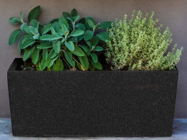 Taimekast Thermo 55x25x h22cm must