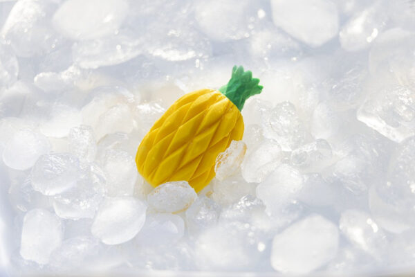 Mänguasi koerale jahutav, erinevad 1tk