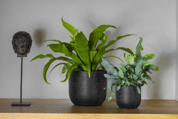 Lillepott Skin Ø17x h15cm must