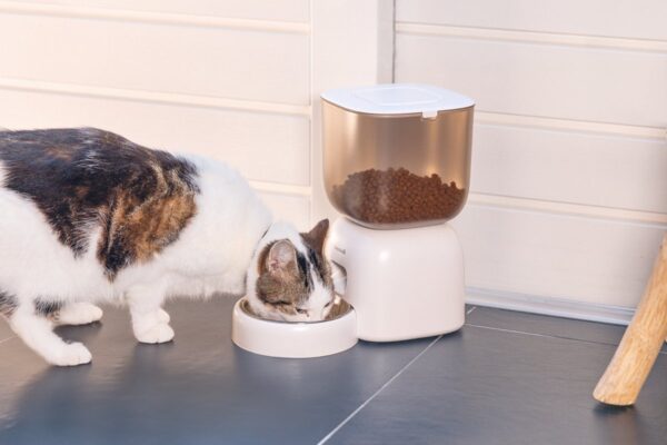 Autmaatsöötja Chris valge 3L