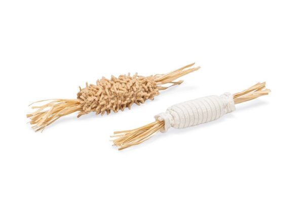 Mänguasi kassile Eco 2tk