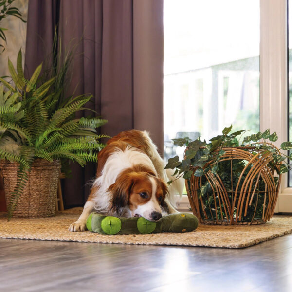 Mänguasi koerale madu 72cm