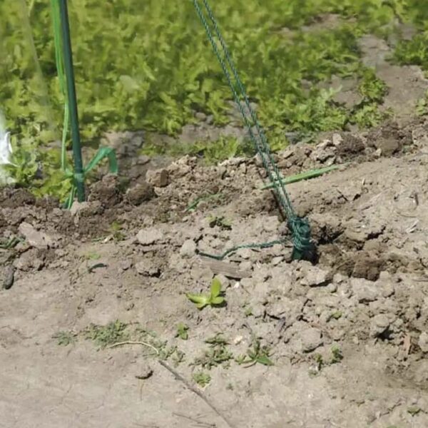 Kasvutunnel Premium 200x300x h180cm