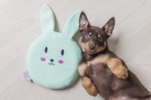 Kutsika soojendusmatt 21cm